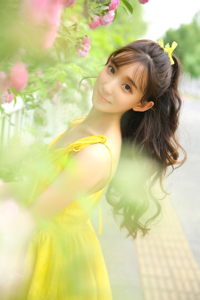 全球黑帮花名册